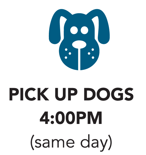 Pick up Dogs icon