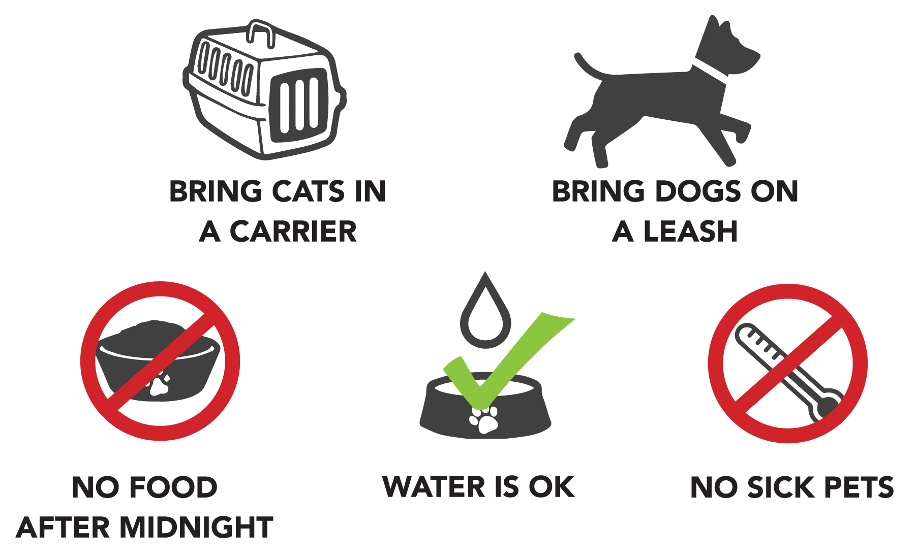 Whats ok and not ok for your pet prior to surgery graphic icons