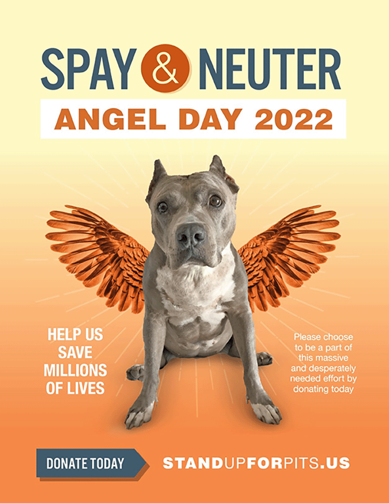 Angel Day Poster