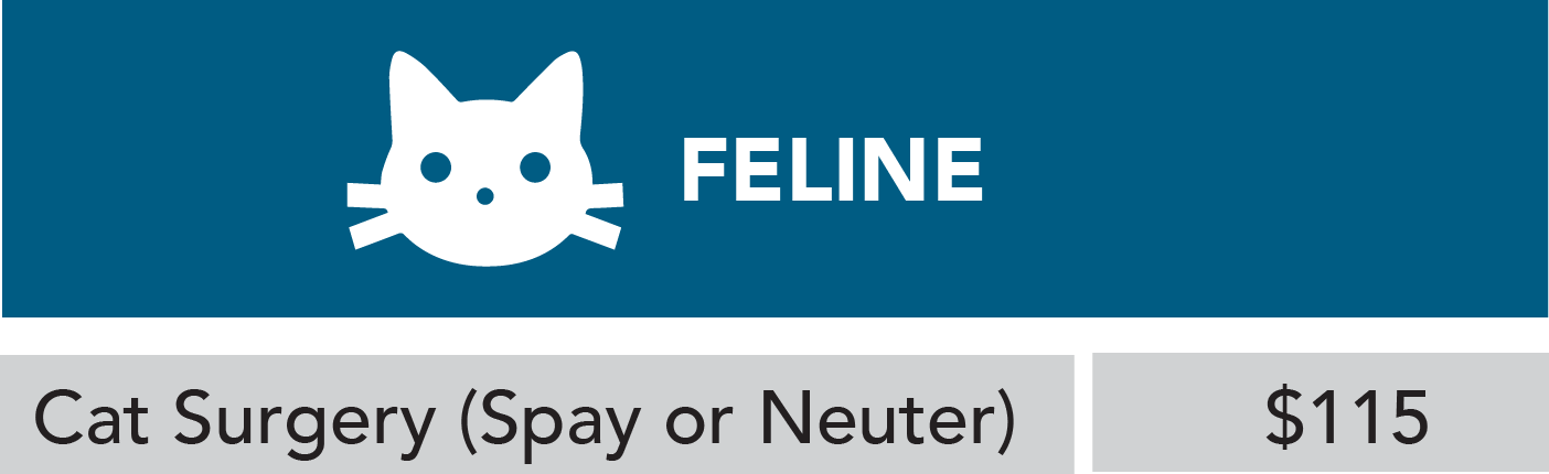 Cat spay and neuter fees