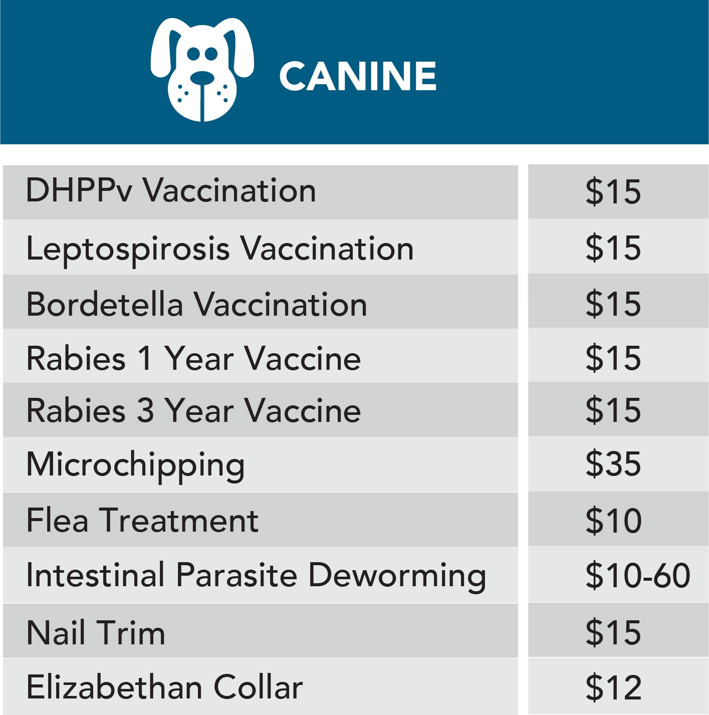 Canine health basics 2023