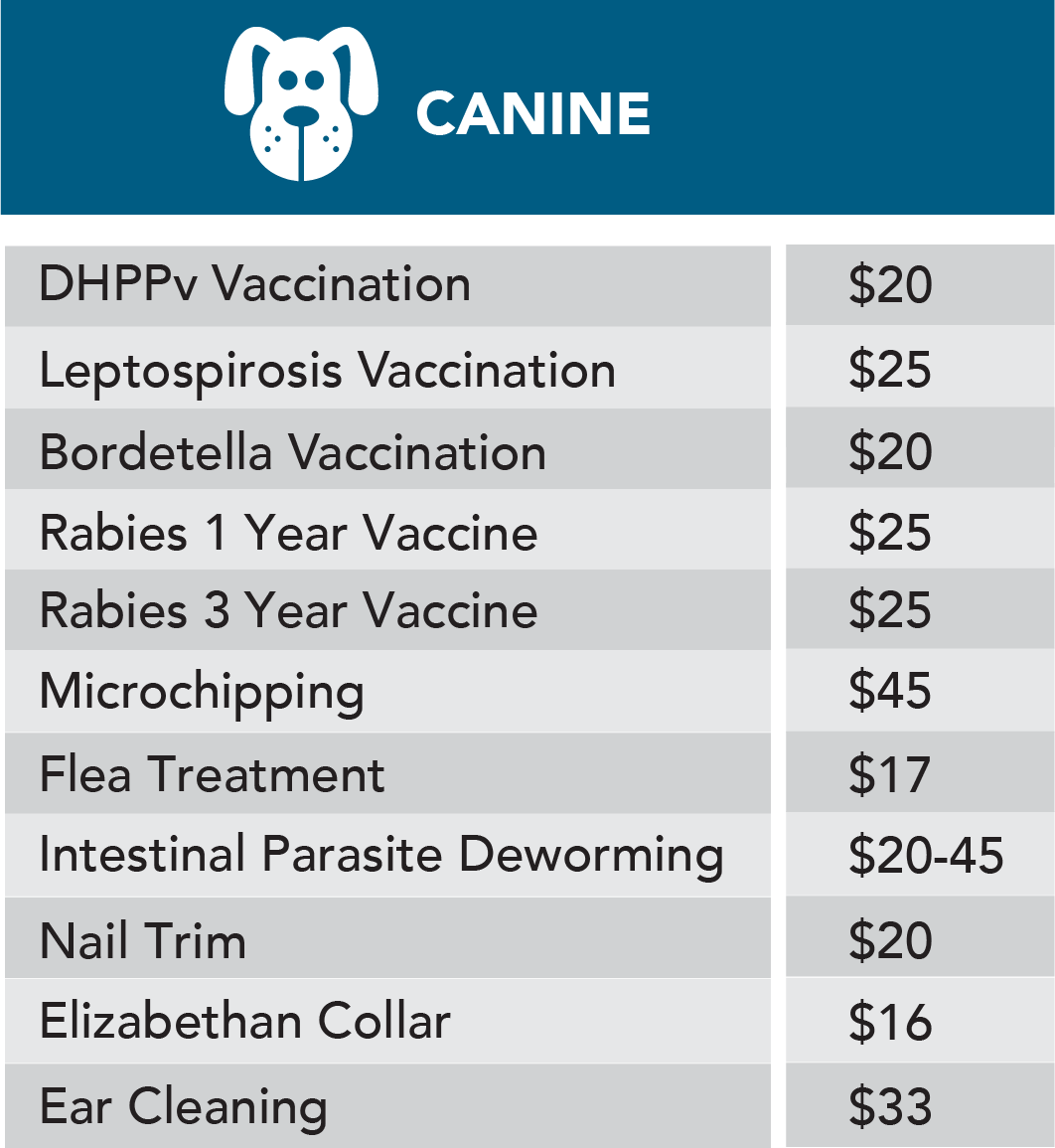Canine Services Canine Services 2025