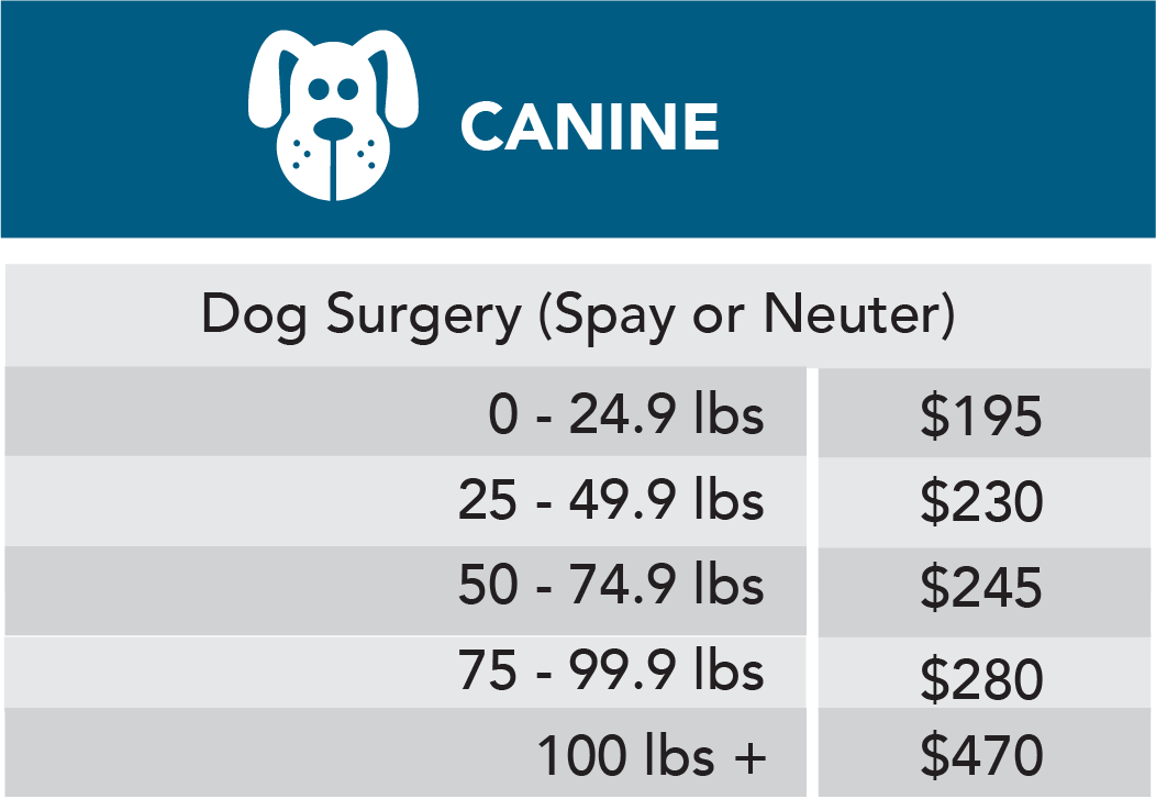 Canine Spay Canine Spay Neuter Cost 2025