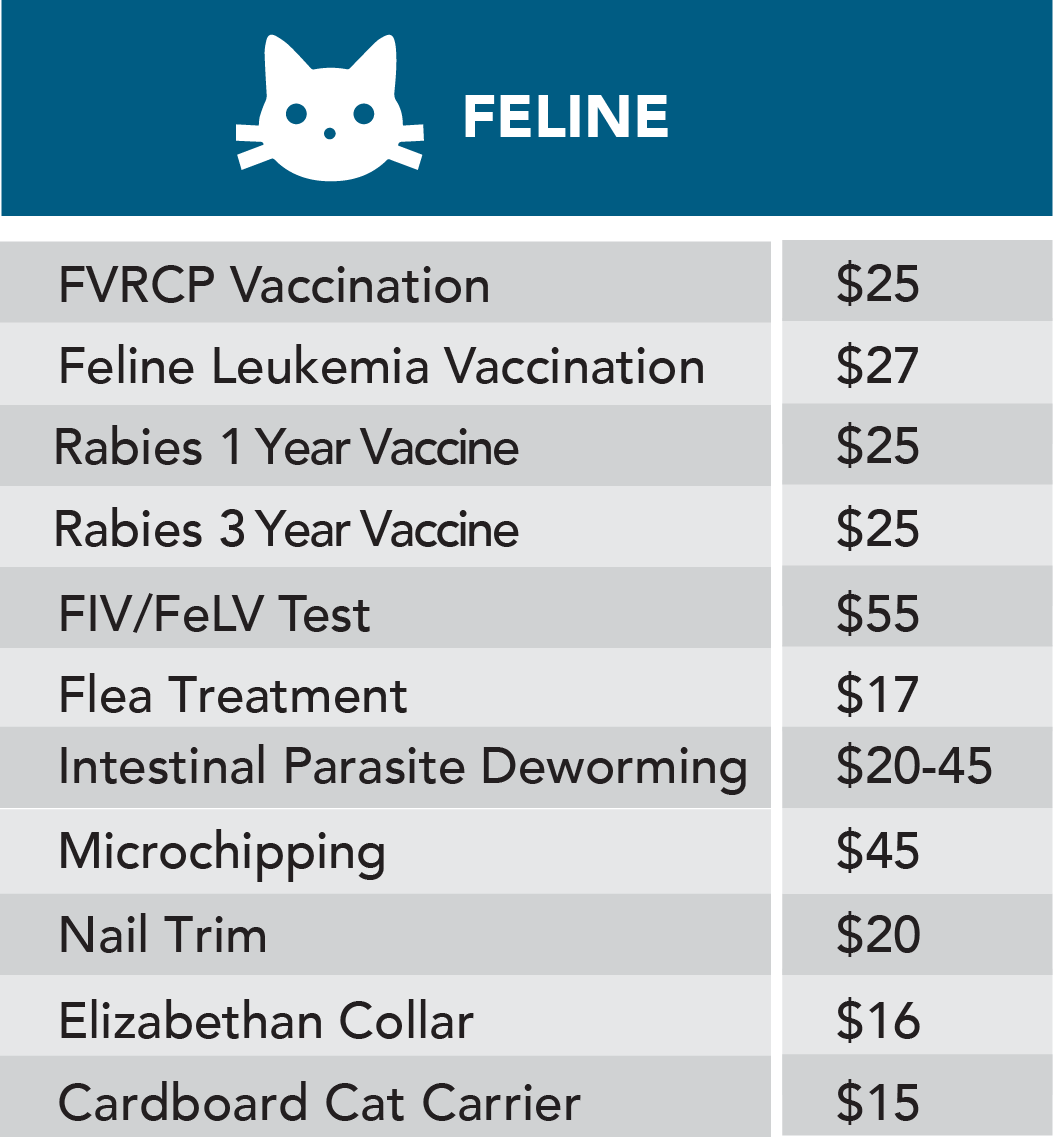 Feline Serives Feline Services 2025