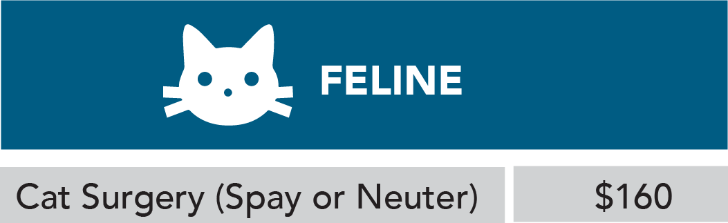 Feline Spay Feline Spay / Neuter cost 2025