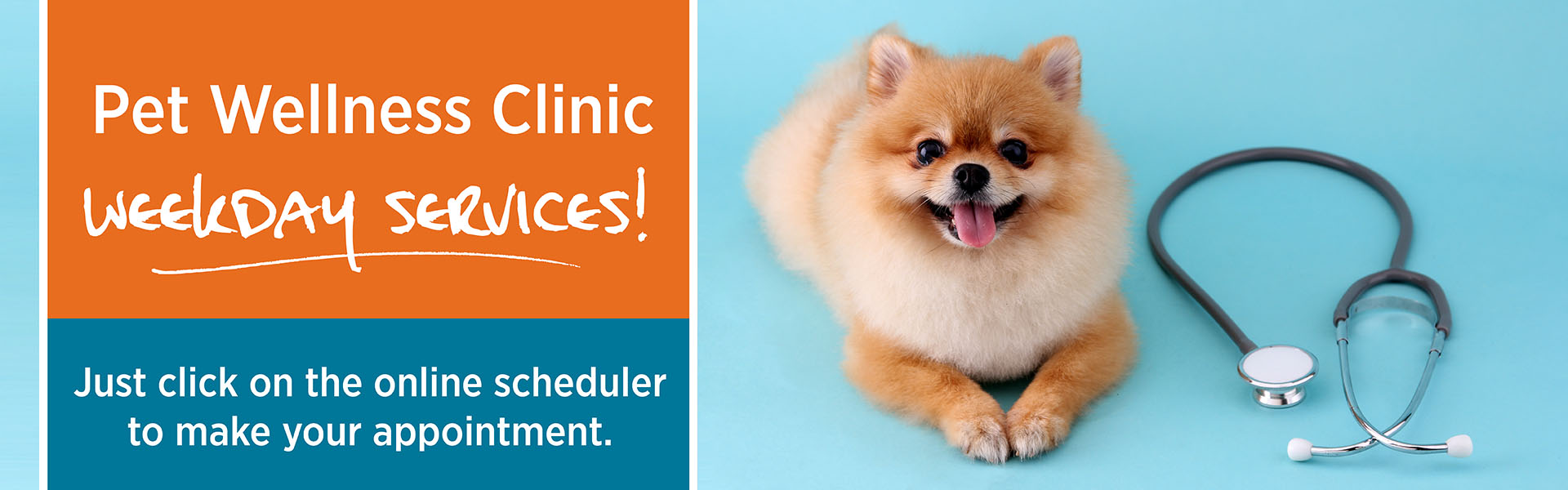 Wellness Services